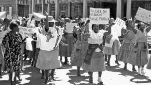 The Role South African Women Played Against the Violation of Human Rights from 1950s to 1960s