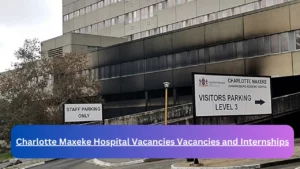 New Hirings at x1 Charlotte Maxeke Hospital Vacancies 2024, Submit Online Job Application Form @jobs.gauteng.gov.za